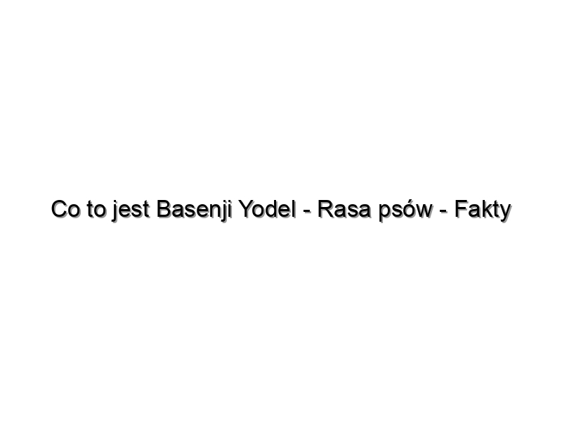 Co to jest Basenji Yodel – Rasa psów – Fakty