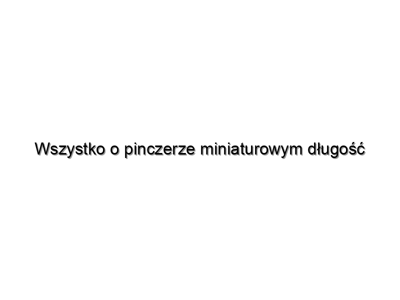 Wszystko o pinczerze miniaturowym długość życia i opieka zdrowotna