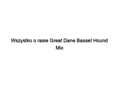Wszystko o rasie Great Dane Basset Hound Mix