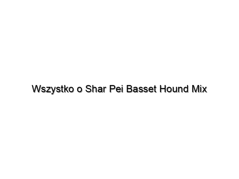 Wszystko o Shar Pei Basset Hound Mix
