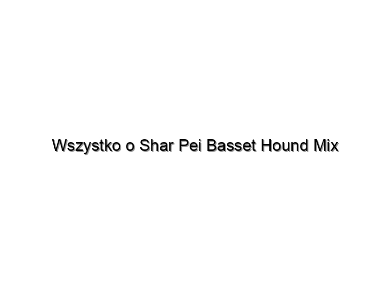 Wszystko o Shar Pei Basset Hound Mix