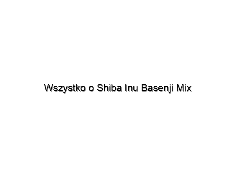 Wszystko o Shiba Inu Basenji Mix